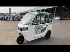 triciclo eléctrico del triciclo del pasajero 800W de los adultos de la rueda eléctrica del pasajero 3